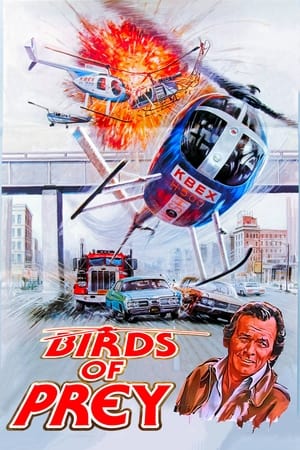 Poster Birds of Prey 1973