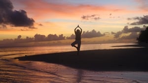 Louise Solomon's Yoga & Pilates film complet