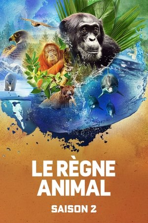 Saison 2