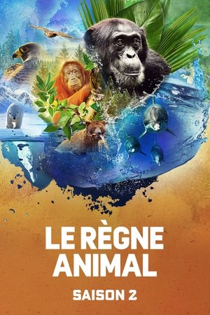 Le règne animal: Saison 2