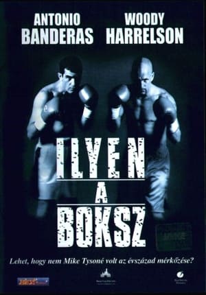 Poster Ilyen a boksz 1999