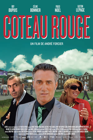 Poster Coteau Rouge 2011