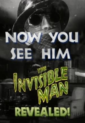 Poster Now You See Him: 'The Invisible Man' Revealed! 2000