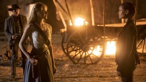 Westworld – Dove tutto è concesso – 2 stagione 2 episodio