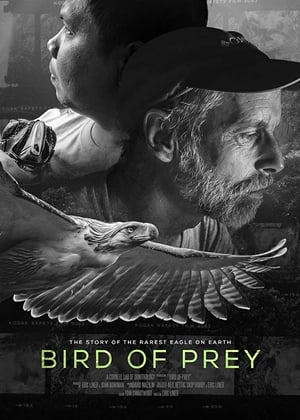 Bird of Prey 2018