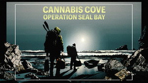 Cannabis Cove: Operation Seal Bay