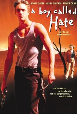 Image A Boy Called Hate - Sein Name war Haß