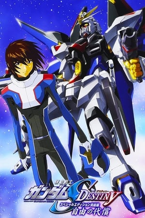 Poster Mobile Suit Gundam SEED Destiny TV Movie IV: The Cost of Freedom 2007