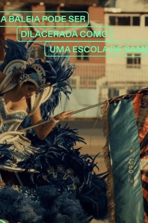 Image Uma Baleia Pode Ser Dilacerada Como Uma Escola De Samba