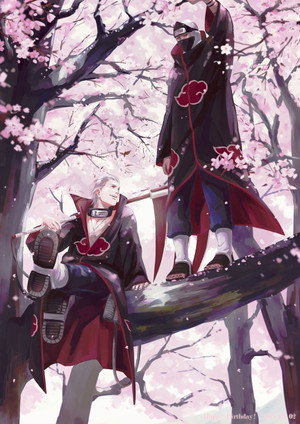 Naruto Shippuden - Saison 4 - poster n°5