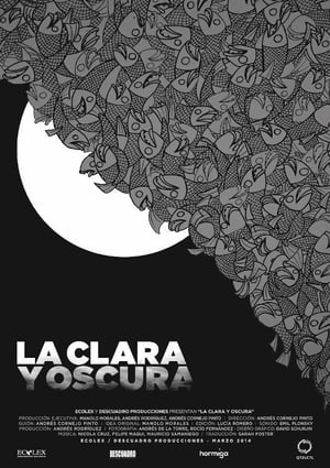 Poster La clara y oscura (2014)