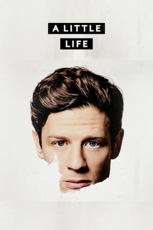 Poster A Little Life (2023)