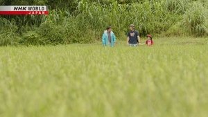 Journeys in Japan: 13×15