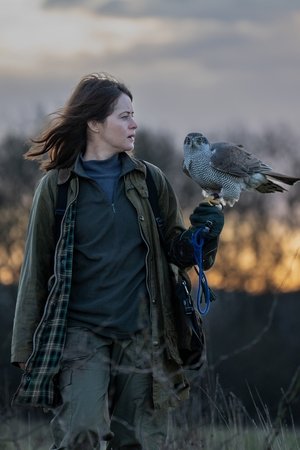 H Is for Hawk