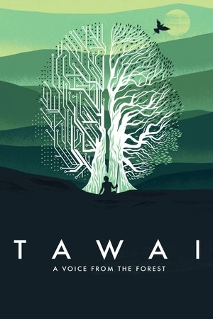 Tawai: A Voice from the Forest poster