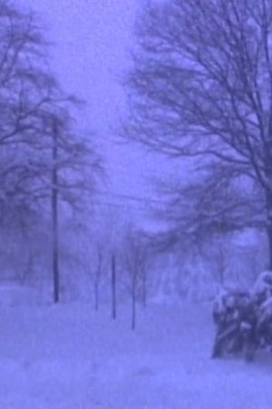 Heavy Snow in Silver Spring
