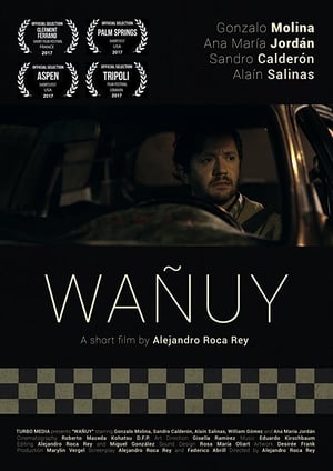 Image Wañuy