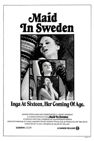 Poster Experiencia sexual en Suecia 1971