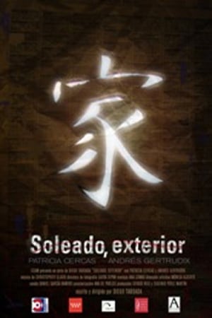 Poster Soleado, Exterior 2004
