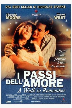 Poster I passi dell'amore 2002