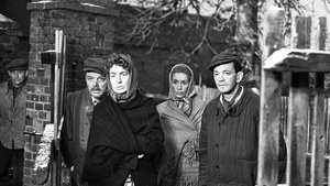 Sami swoi cały film