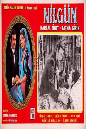 Nilgün poster