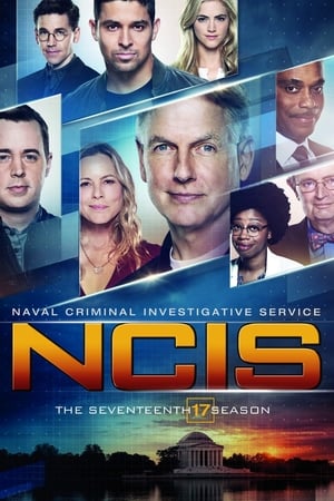 NCIS: Sezon 17