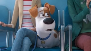 The Secret Life of Pets 2 (2019)