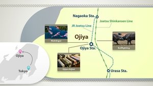 Journeys in Japan: 11×25