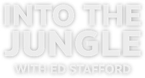 Ed Stafford -  Into the Jungle