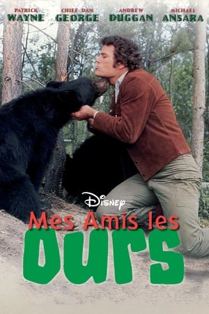 Image Mes amis les ours