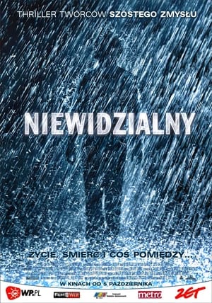 Poster Niewidzialny 2007