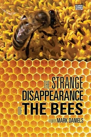 Poster The Strange Disappearance of the Bees (2010)