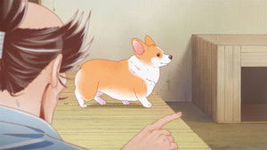 The Corgi and the Samurai: 1×1