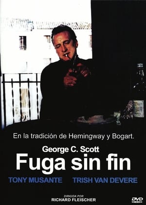 Poster Fuga sin fin 1971