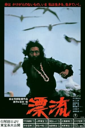 Poster 漂流 1981