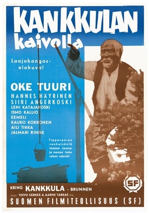 Poster Kankkulan kaivolla 1960