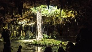 Mexico: Earth's Festival of Life Forests of the Maya