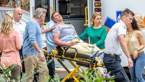 Chesapeake Shores: Stagione 1 x Episodio 6