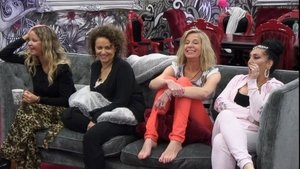 Celebrity Big Brother Day 17