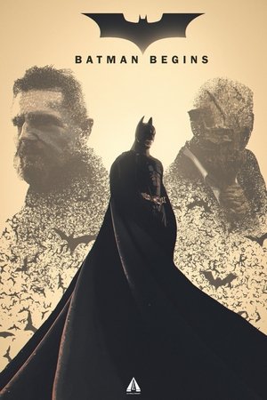 Image Batman Begins