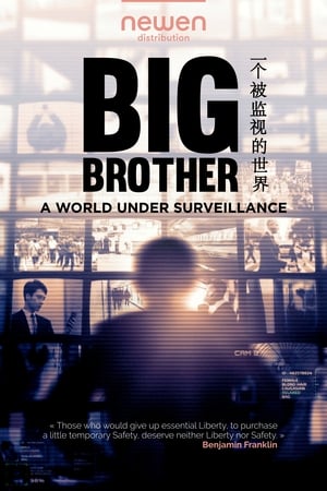Poster Big Brother: A World Under Surveillance 2020