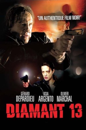 Poster Diamant 13 2009