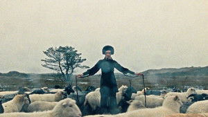 Last night I stayed within myself and this morning I decided to live here (2026)