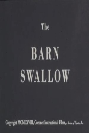 Image The Barn Swallow