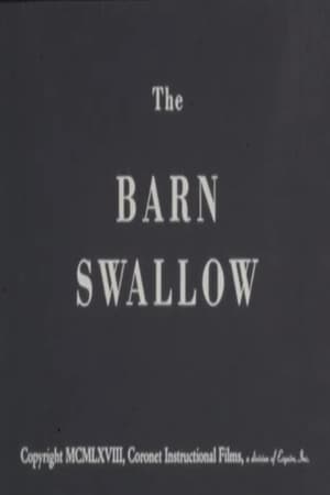 Poster The Barn Swallow 1968