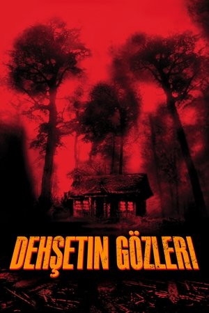 Poster Dehşetin Gözleri 2003