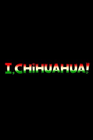Poster I, Chihuahua 2025