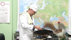 Državni posao Season 11 : Episode 26 