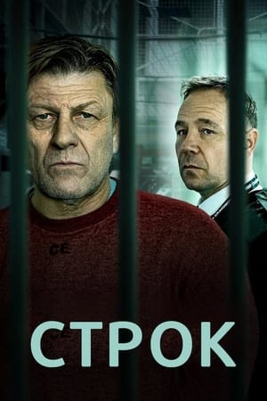 Poster Строк 2021